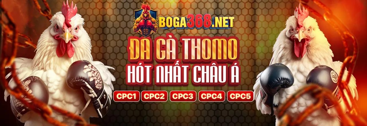 Đá gà trực tuyến 88v chính thức với các chiến kê dũng mãnh