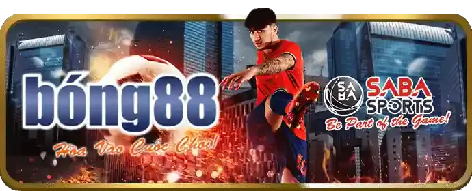 Đá gà Thomo kịch tính tại 88v chính thức